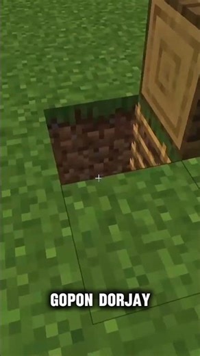 Minecraft hidden door 🚪#shorts #foryou #minecraft