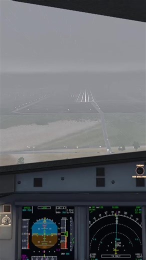 Exploring Gdańsk: Landing Experience on Wizz A321N