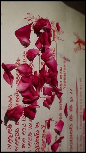 Wedding Card shoot, cinematic wedding invitation video #wedding #cinematic #cardvideo #sambalpuri