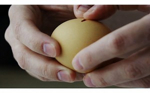 Physical and Chemical Changes for kids