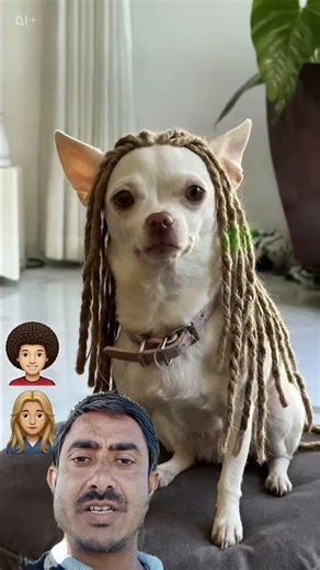 This Puppy’s Teddy Cut Hairstyle Is Too Cute 😍🐶