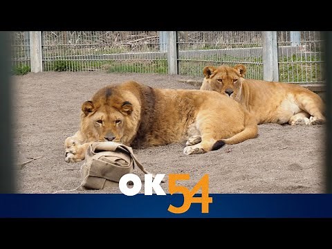 Vlog & Route: Eifel Zoo Lünebach