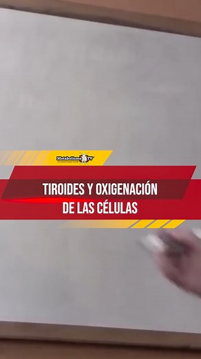 La glándula tiroides controla todo en tu organismo, especialmente la creación de energía, mediante la hormona T3. Esta hormona participa directamente en la cantidad de oxígeno que aprovecha la célula para hacer combustión y generar energía. #Metabolismo #hormonat3 #tiroides #energia #oxigeno | MetabolismoTV