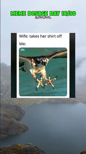 Hmmm!! | #memes #viral #funny