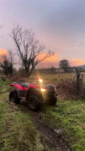 🦉520 bus🙋‍♂️#rashmenontour😎 520cc