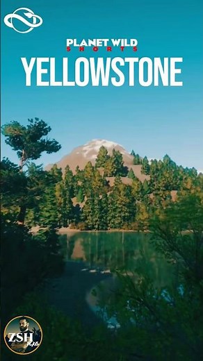 YELLOWSTONE IN PLANET ZOO! | PLANET WILD #SHORTS #planetzoo