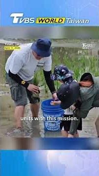 TVBS employees record wildlife data in Yilan rice farms #地球日 #永續行動 #SHORTS