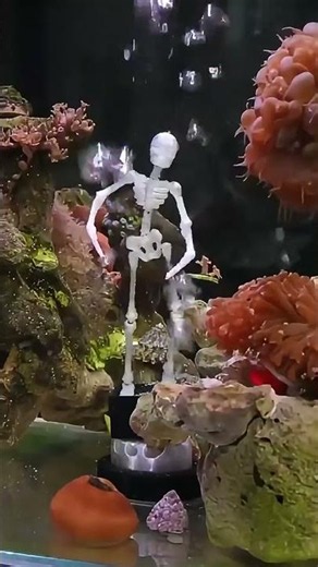 🔥White Underwater Dancing Skeleton Bath Toy With Suction Base