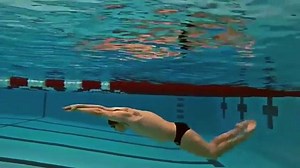 3.7K views · 228 reactions | Triple kick-butterfly. Is a powerful way to work on the timing of breath control of your butterfly breakouts | Swimming Fanatic | Facebook