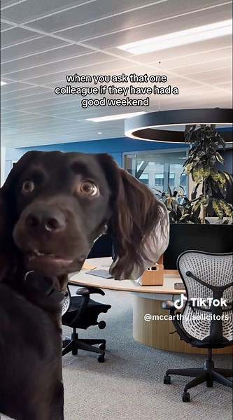 Navigating Corporate Office Humor: Weekend Conversations