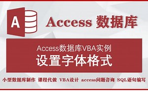 accesss数据库VBA实例：设置字体格式
