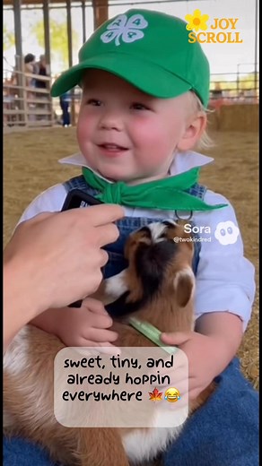 🌿 Meet Maple Her name is Maple because she’s sweet. She’s two months old. And apparently she’s already hoppin’ up on everything she can find. This tiny farm kid is in love and honestly… same. 🍁 #4Hkids #farmbabies #joyscroll #AI – created with Sora AI | JoyScroll