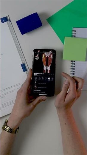 Wait… you can SEE muscle innervation like this? 🤯