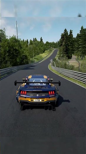 HRT Ford Mustang GT3 24h Nürburgring Assetto Corsa Copetizione