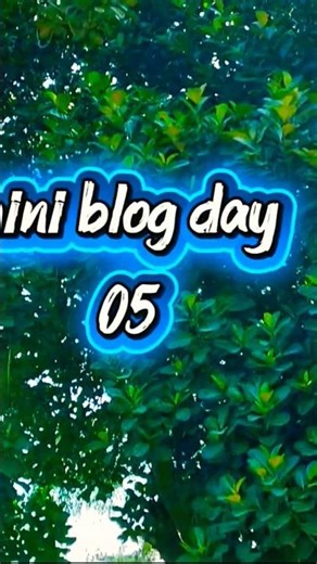 mini blog day 05🧏🏠