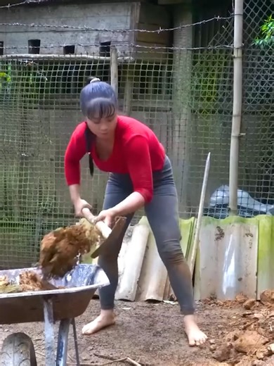 DIY Christmas Tree Timelapse and Roasted Chicken Recipe