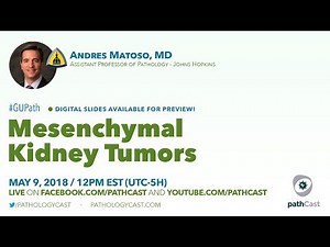 Mesenchymal kidney tumors - Dr. Matoso (Hopkins) #GUPATH
