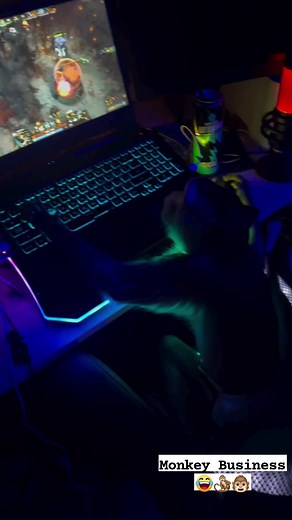 635K views · 5.3K reactions | Monkey King level 1 XD 藍 #dota2 #Dota #gaming #fyp #reels #reelsvideoシ #reelsfypシ #dota2memes #viralvideos Dota 2 #dota2highlights #dotapgym | EMjolnir | Facebook