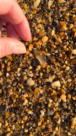 The Fun Chasers on Reels