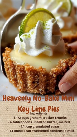 341K views · 796 reactions | Heavenly No-Bake Mini Key Lime Pies | Cakecrafted Recipes | Facebook