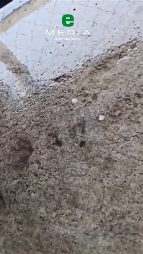 4.6K views · 46 reactions | Esta tarde se registró una fuerte tormenta en #Guaymas Ciudadanos reportan caída de granizo en San Carlos, Sonora. ️  Cortesía | Expreso | Facebook