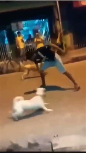 yo no moriré no importa que mi cuerpo sea destruido por com6