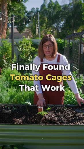 Found the perfect tomato cage. I've used them for a couple of seasons now and i really like them for determinate and smaller indeterminate tomatoes. I've also used them for peppers, beans, and cucumbers. I love that they fit within my Garden Grid™ watering system. This time, though, I'm using them in an elevated bed.