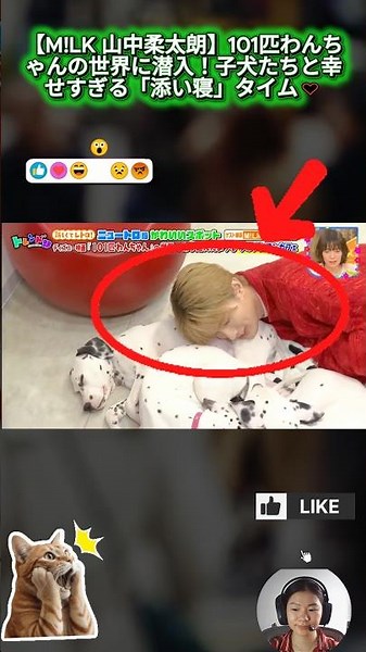 【M!LK 山中柔太朗】101匹わんちゃんの世界に潜入！子犬たちと幸せすぎる「添い寝」タイム♡