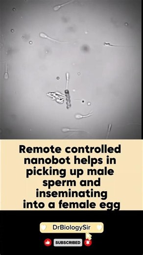 Nanobot picking up sperm and inseminate into egg #sperm #egg #fertilisation #biology