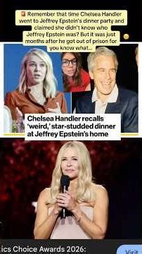 Remember when Chelsea Handler went to Epstein’s party & claimed she didn’t know who Epstein was?