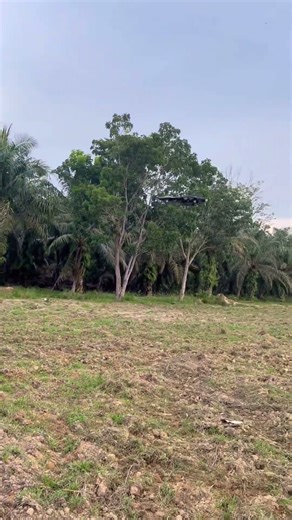 Rc pesawat terbang ufo yang bisa akrobatik #mainanviral #pesawat