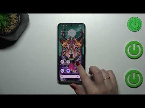 How to Check Serial Number in GOOGLE Pixel 8?