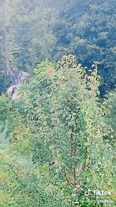 33K views · 108 reactions | Something new just dropped! Www.Kellyrosesarno.Com | Kelly Rose Sarno | Facebook