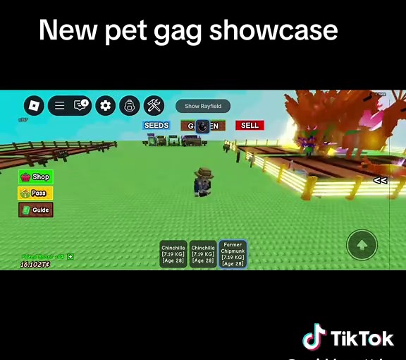 chinchilla new grow a garden pet spawner showcase #zxycba #roblox #fyp #gag