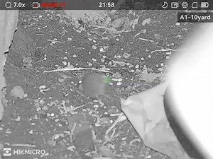 176K views · 1.6K reactions | Another rat shot. Nesting under the concrete base of the pig sheds. #greenguardpestcontrolltd #RodentControlService #pestcontroluk #RodentPrevention #pestcontrolprofessionals #RodentSolutions #rodentproofing #rodents #AirRifle #airrifleshooting #jsbpellets #Vermin #vermincontrol | Green Guard Pest Control LTD | Facebook