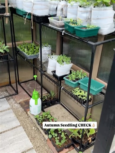 5.9K views | Sophie Valentine - Look Inside My Garden on Reels | Facebook