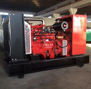 [Hot Item] 50kw 62.5kVA Cummins Biogas Biomass Methane Power Generator