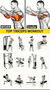 332K views · 3K reactions | Effective Top Triceps Workout  #muscle #sports #exercise #homeworkout #fitness #workout #fit #gym #training #health #sport #muscle #bodybuilding | Fitness Workout | Facebook