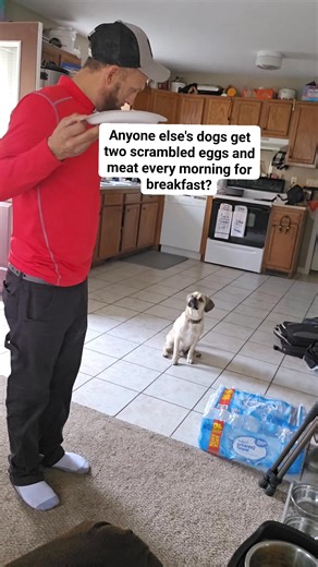 Amber Brown on Reels