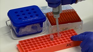 Global Identification of Co-Translational Interaction Networks by Selective Ribosome Profiling