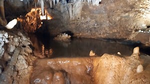 1.7K views · 27 reactions | Streams bubble through the breathtaking underground world of Harrison's Cave, where ancient stalactites and stalagmites create a natural masterpiece... https://barbados.org/hcave.htm | Barbados.org | Facebook