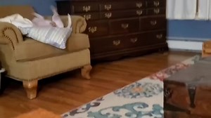 2020 🎂🥳 Mom!! Get this Birthday strangley thing off my neck!! (In fast forward) 🤣😂😂🐾🦈🌪❤ #ivanbrbtr #happybirthday #bullterrier #3yearsold | Ivan the Terribully Handsome Boy - Adopted