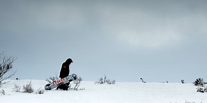 Top 4 Best Burton Snowboards in 2026 (Expert Guide)