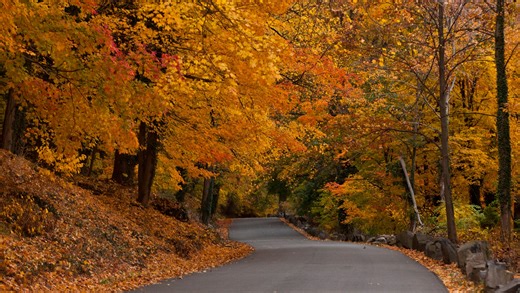 Looking for North Jersey's best fall foliage? Try these 7 scenic drives in 2025