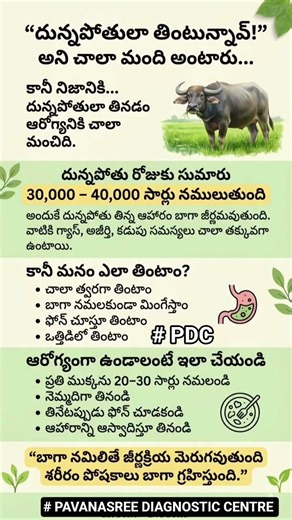 # దున్నపోతు లా తింటావు అని ఎందుకు అంటారో తెలుసా...