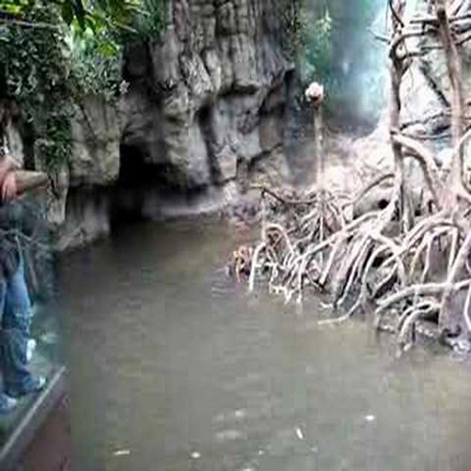 5.8M views · 7.1K reactions | Otter Attack Monkey In The Zoo - Beautiful Animals | Beautiful Animals | Facebook