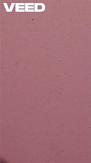 Do Animals Experience Life Like Humans? The Truth Will Surprise You