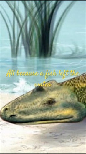 Evolution edit #history #Evolution ￼