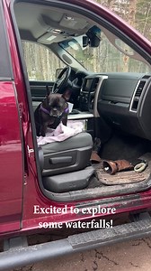 🌊The waterfalls are raging here in the Western U.P.🐶📍Black River Scenic Byway - Potowatomi Falls. #explorewesternup #michigansupperpenninsula #waterfalls | Western U.P. Visitors Bureau
