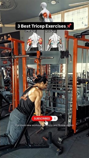 🚫 Wrong Workout = NO Horseshoe Triceps 😮‍🔥 #tricepsday #tricepsworkout #armday #natty